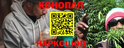 гашик Краснодар