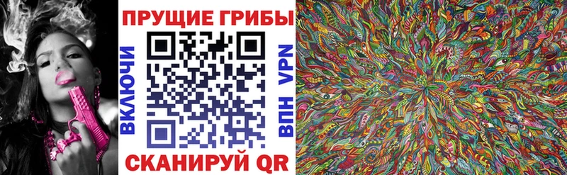 Псилоцибиновые грибы Psilocybe  где купить наркотик  Йошкар-Ола 