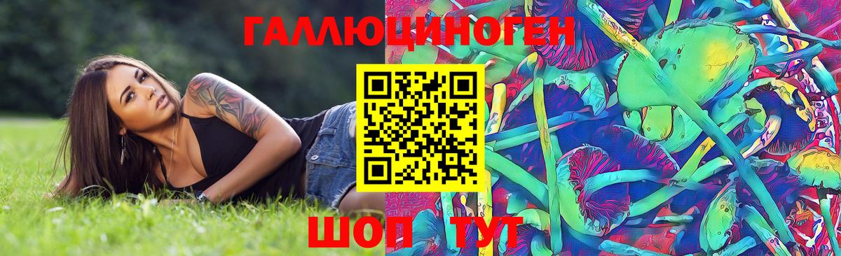 Псилоцибиновые грибы Cubensis  Вход с VPN  Йошкар-Ола 